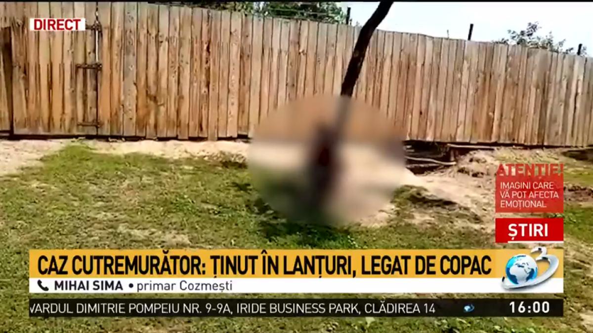 legat_copac_barbat_40574800