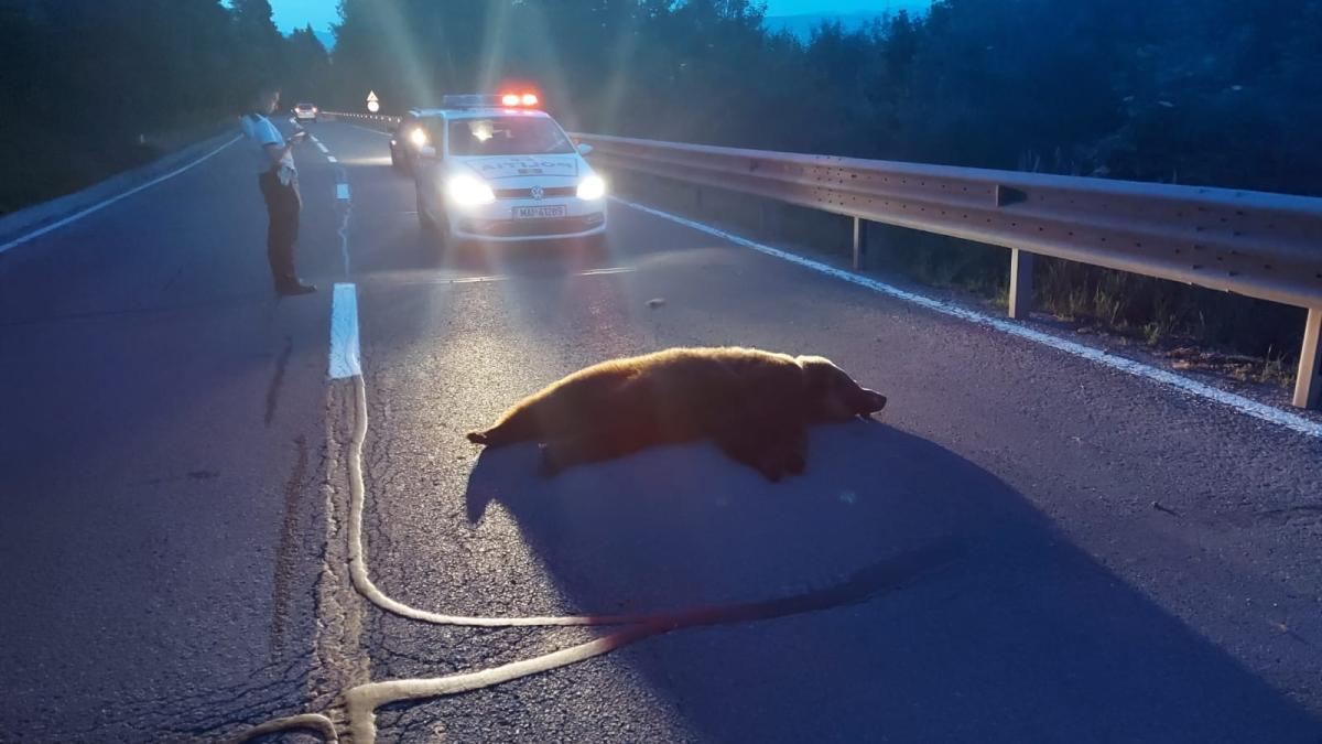 whatsapp-image-2020-07-02-at-22-52-19_74211200