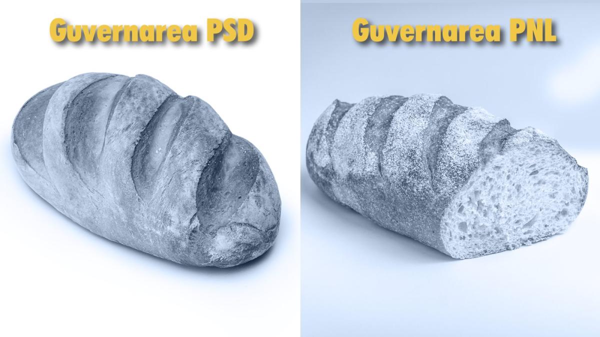 psd-pnl-paine_28527800