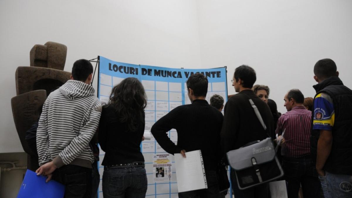 locuri_munca_43524200