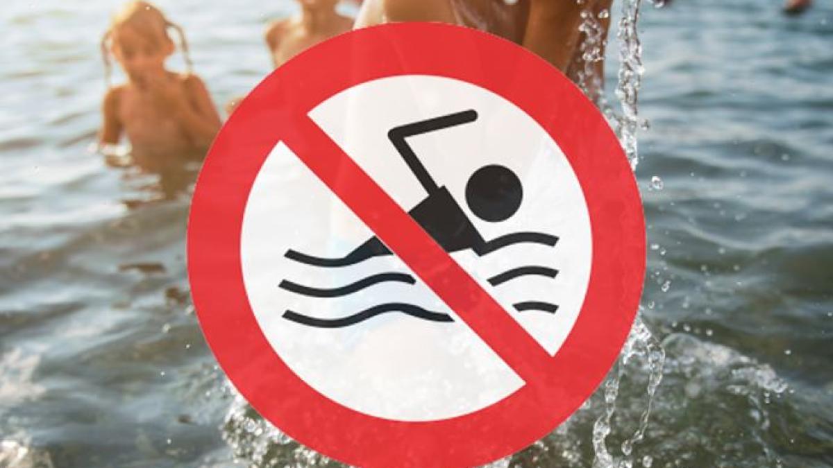 107846580_3253652378030538_3426937955156900446_o_52754800