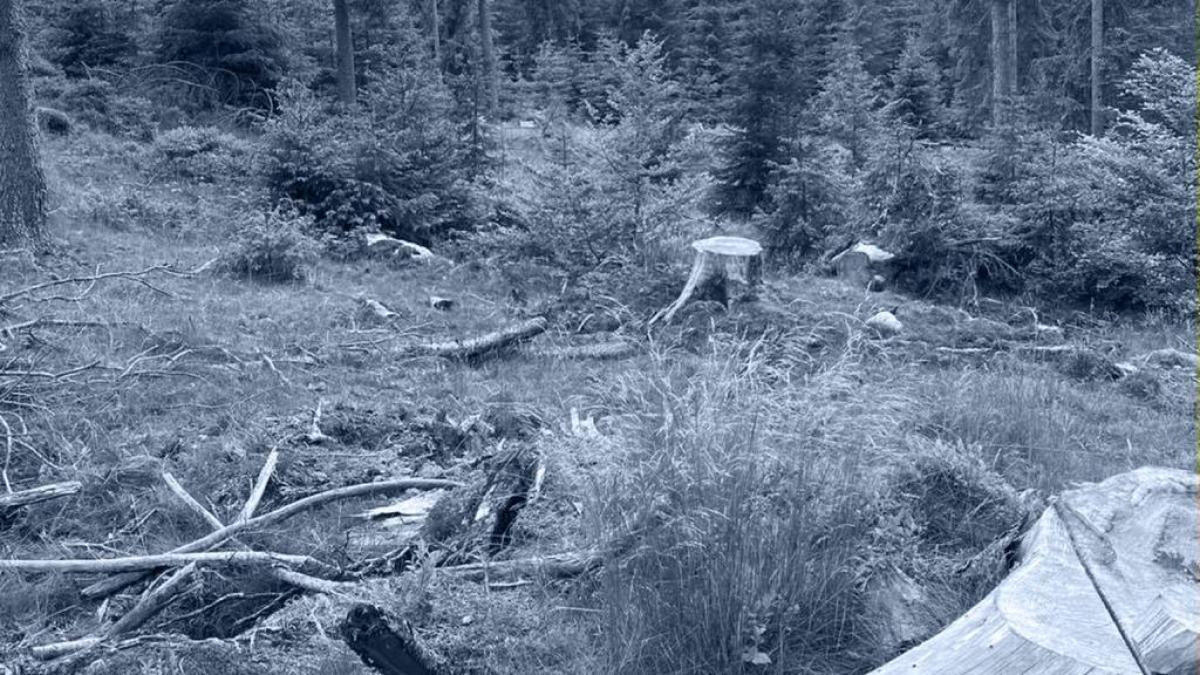 109665915_2057133467765090_4962112087121498719_o_30119700