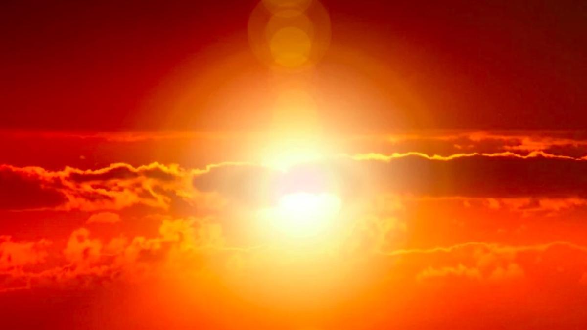 prea_cald_canicula_caldura_50365100