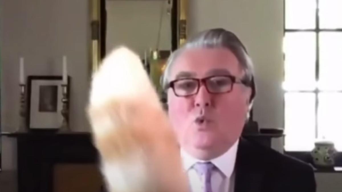 pisica_parlament_marea_britanie_28581100