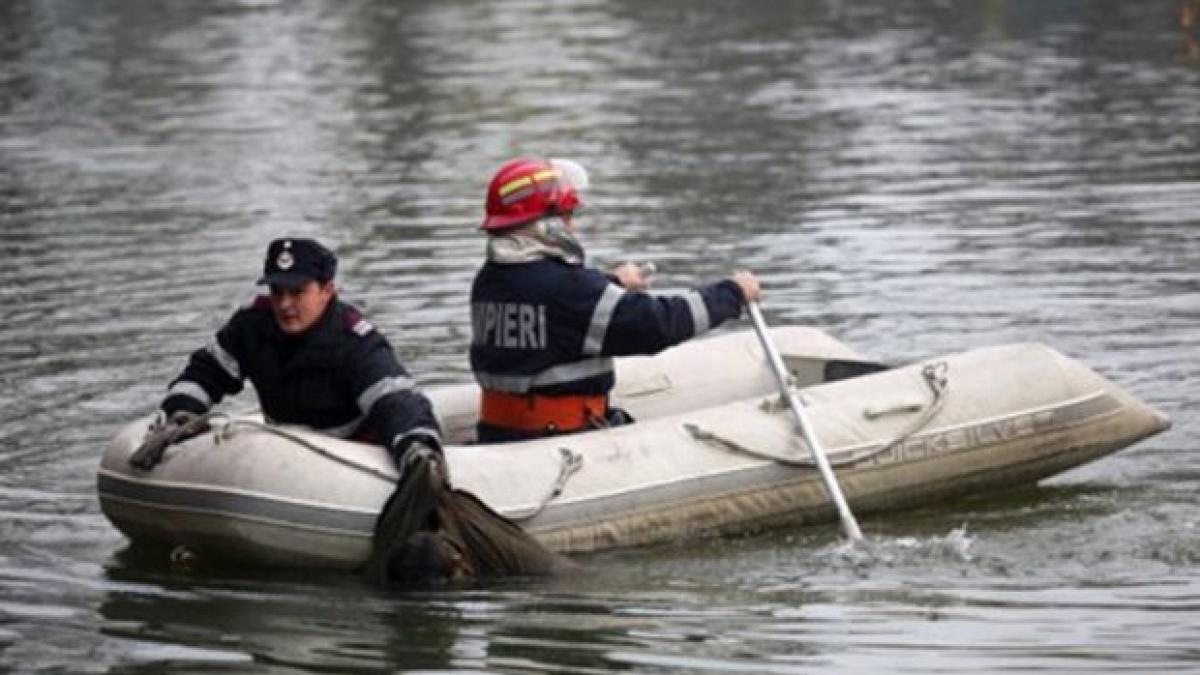 inecat_620x400_36159800