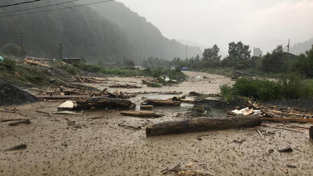 66271237_2417340564995061_5140036402506891264_n_14986100