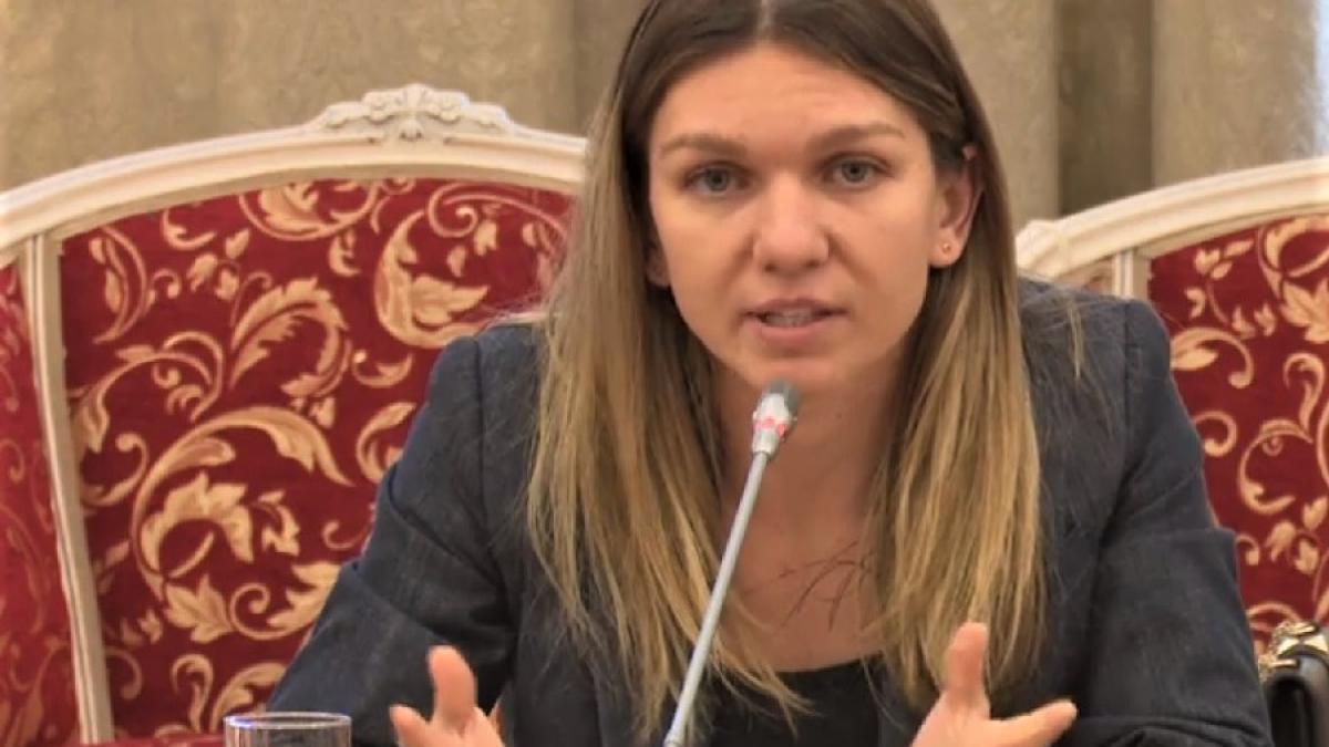 simona_halep_parlament_decl_cpv_56400900