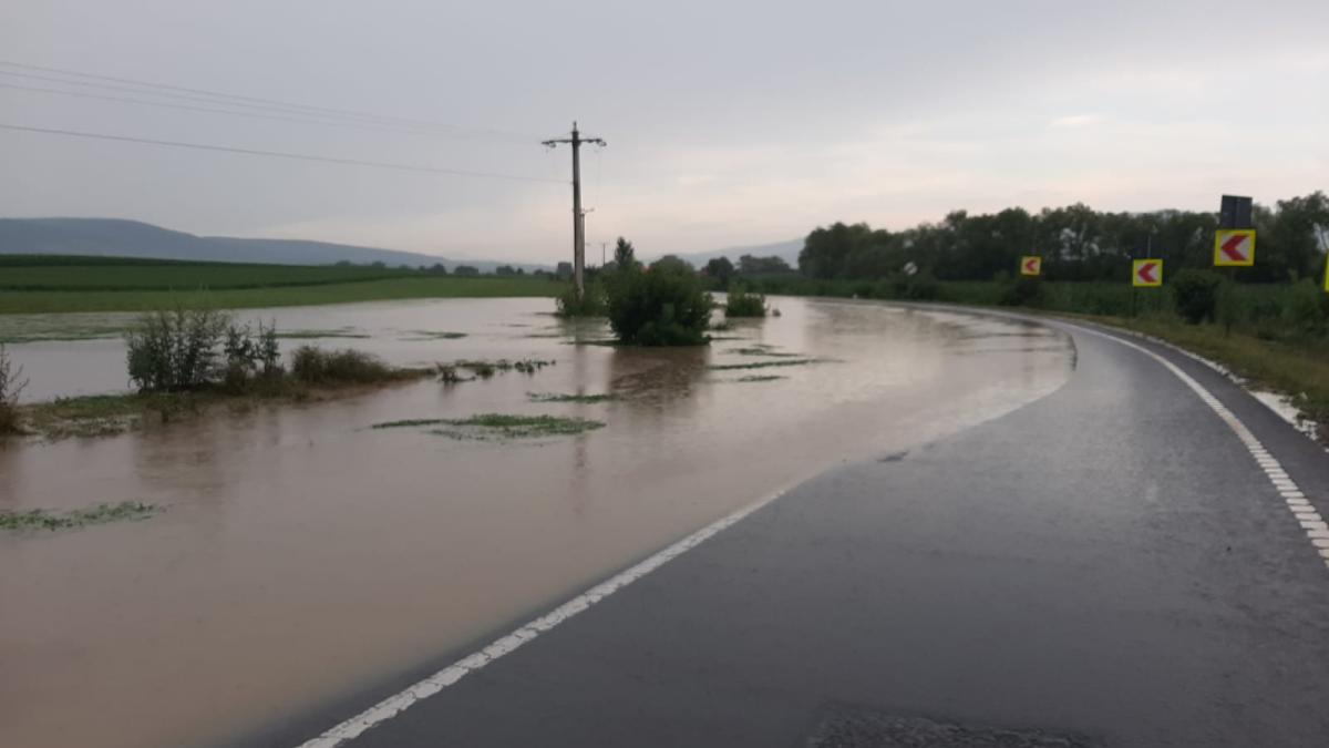 e517f47d-7aec-4fce-ac9f-d1938c92c996_96613000