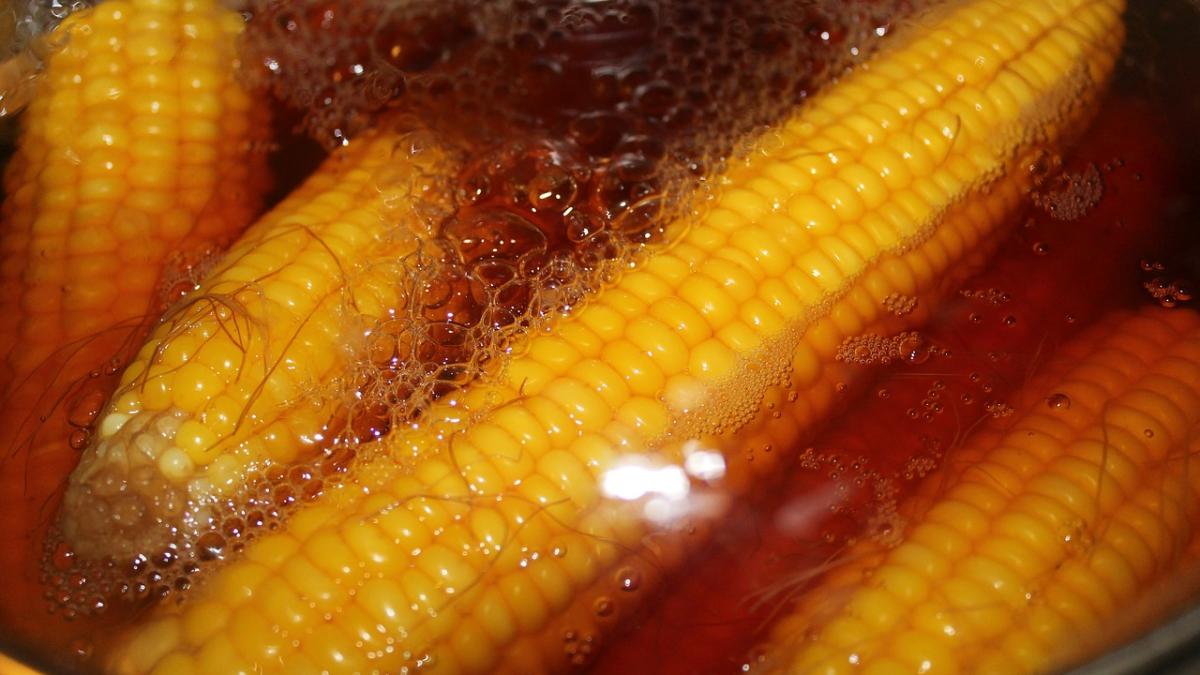 porumb-fiert-2_24520400