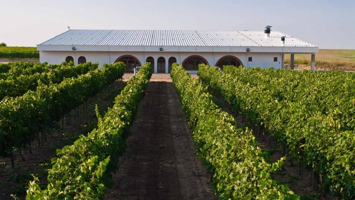 vin-protejat-adamclisi_25947800