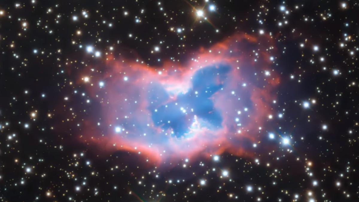 fluture_spatial_foto_cpv_83487900