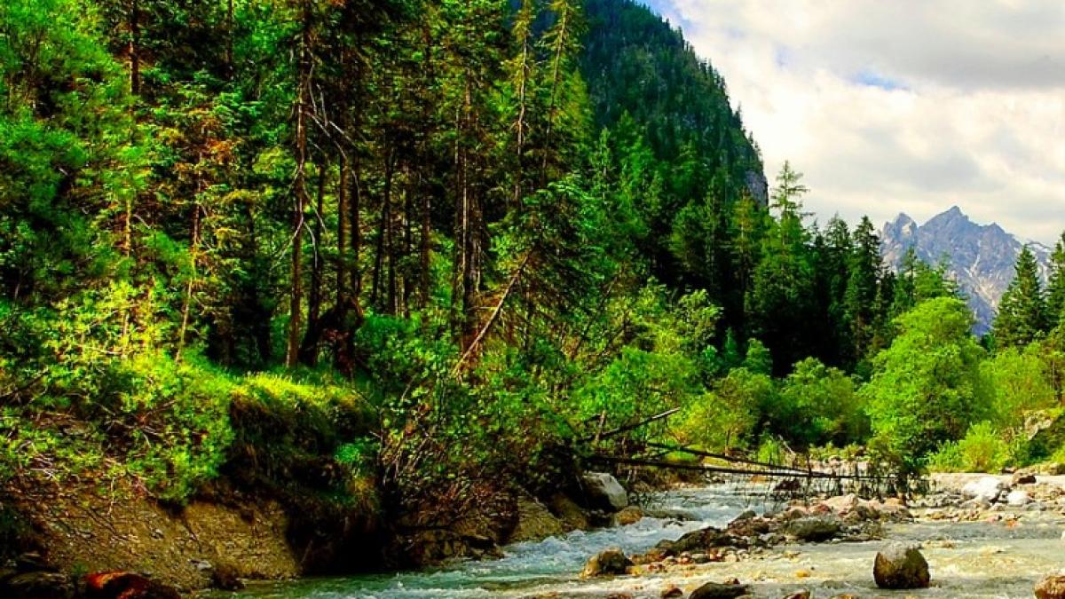 wisbech_marea_britanie_39924400