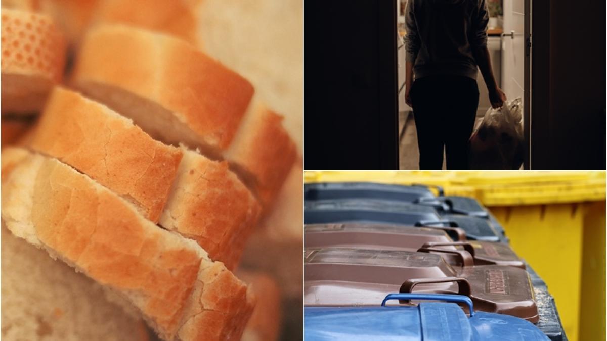 paine-gunoi_10760800