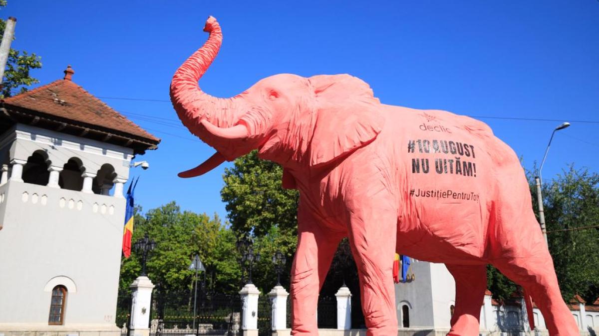 elefant-roz-2_42149700