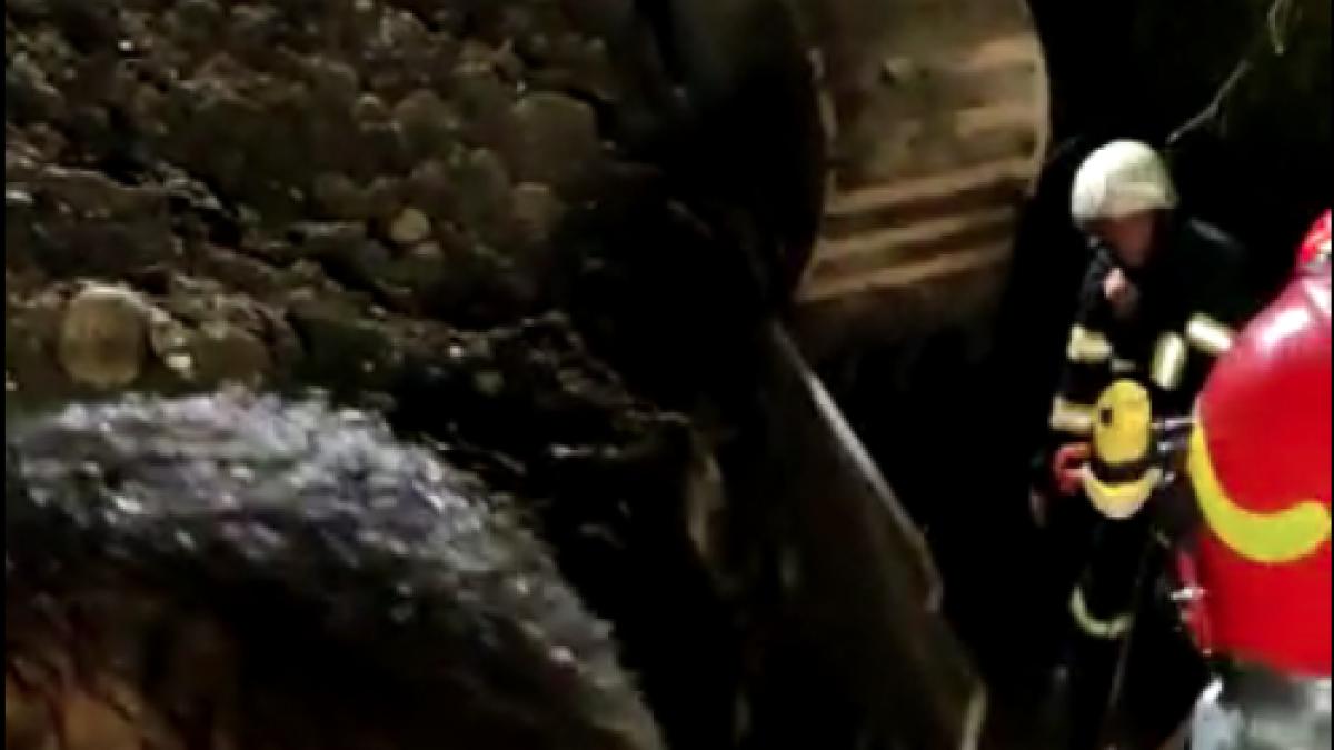 screenshot-2020-08-10-at-22-25-49_19139200