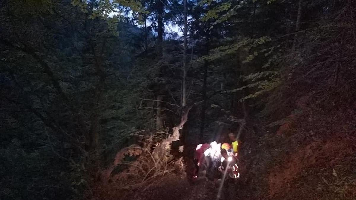 interventie-salvamont_92806200