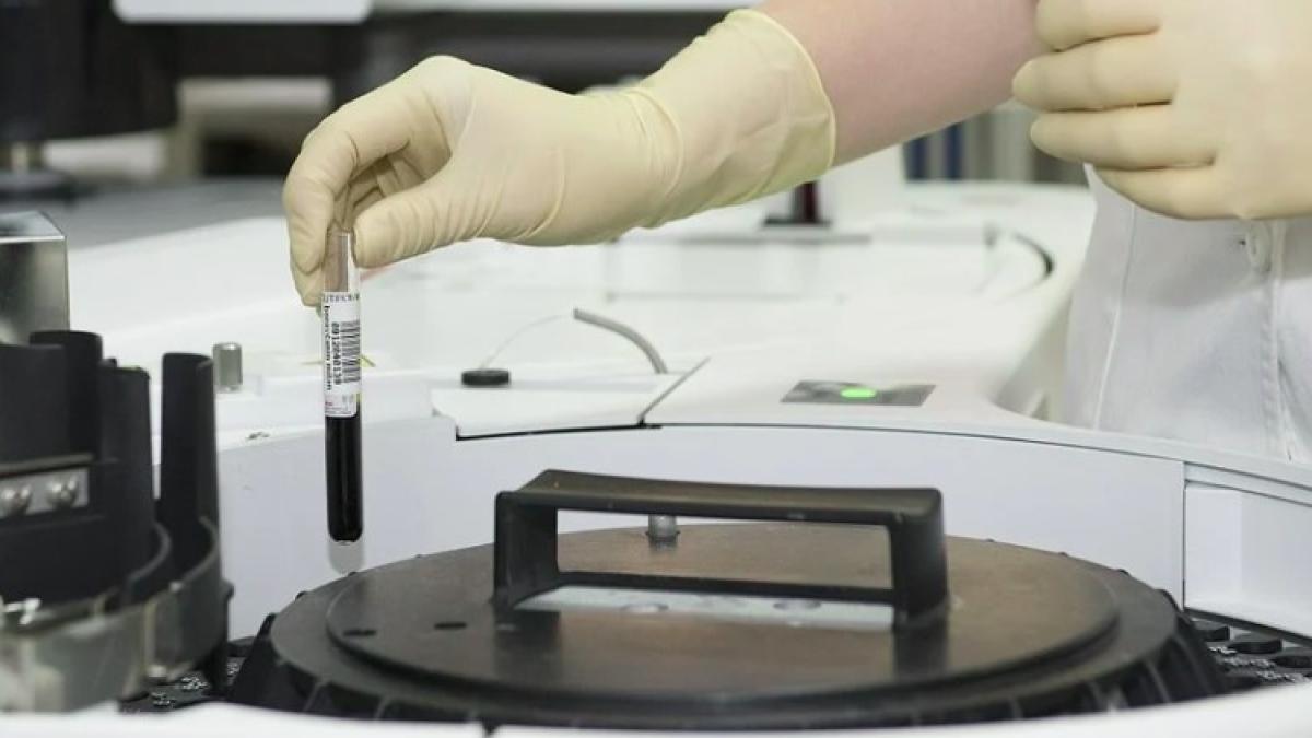 laborator_studiu_81158200