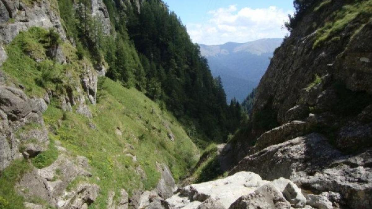 valea_caraimanului_06375600