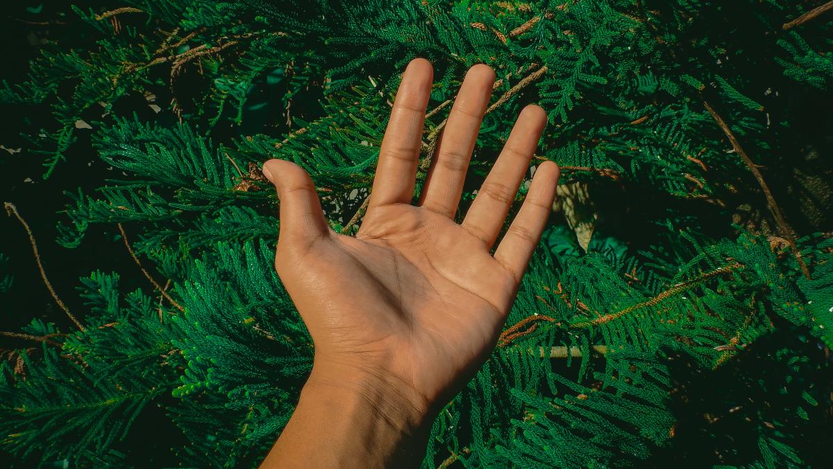 ziua_stangacilor_mana_stanga_06818700