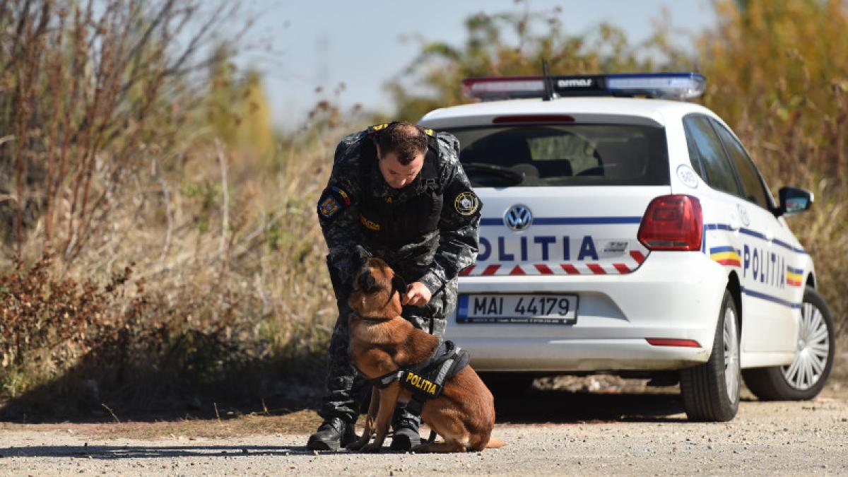 politia_bucuresti_criminalitate_mai_22873700