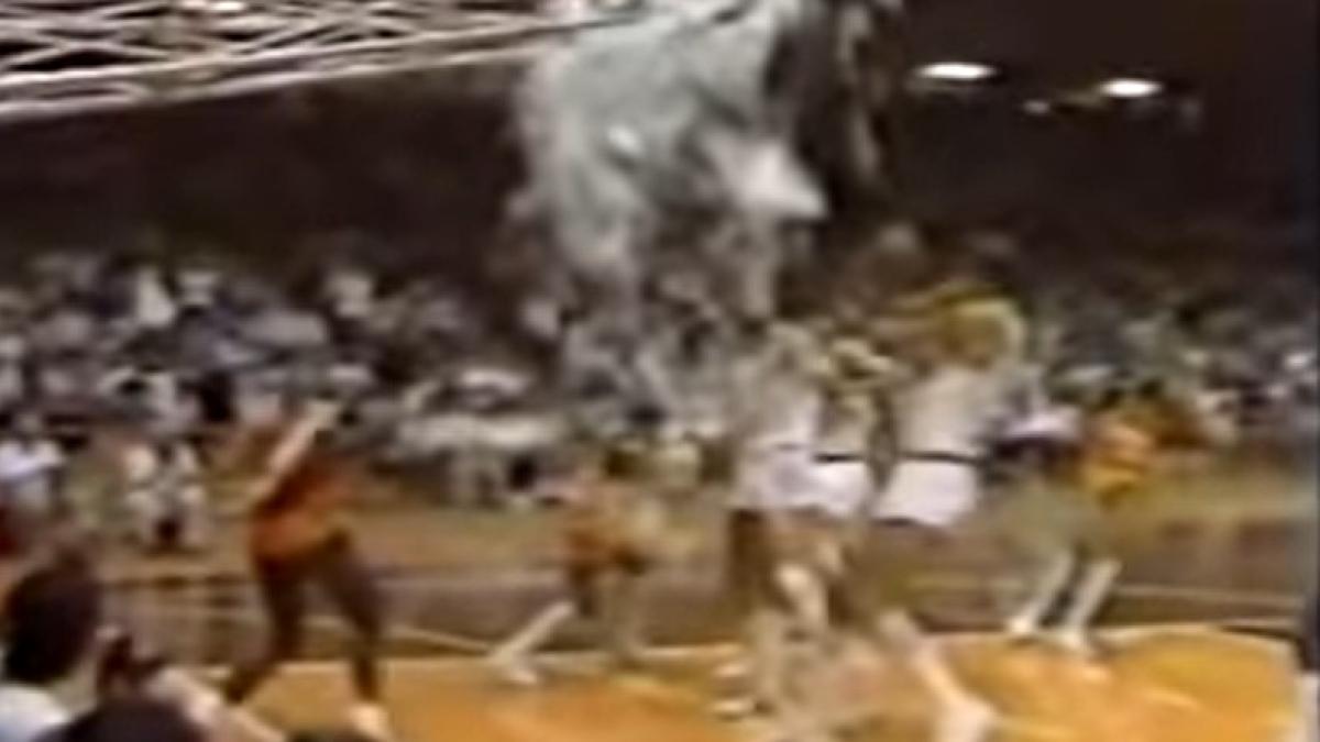 michael_jordan_sparge_sticl_65353800