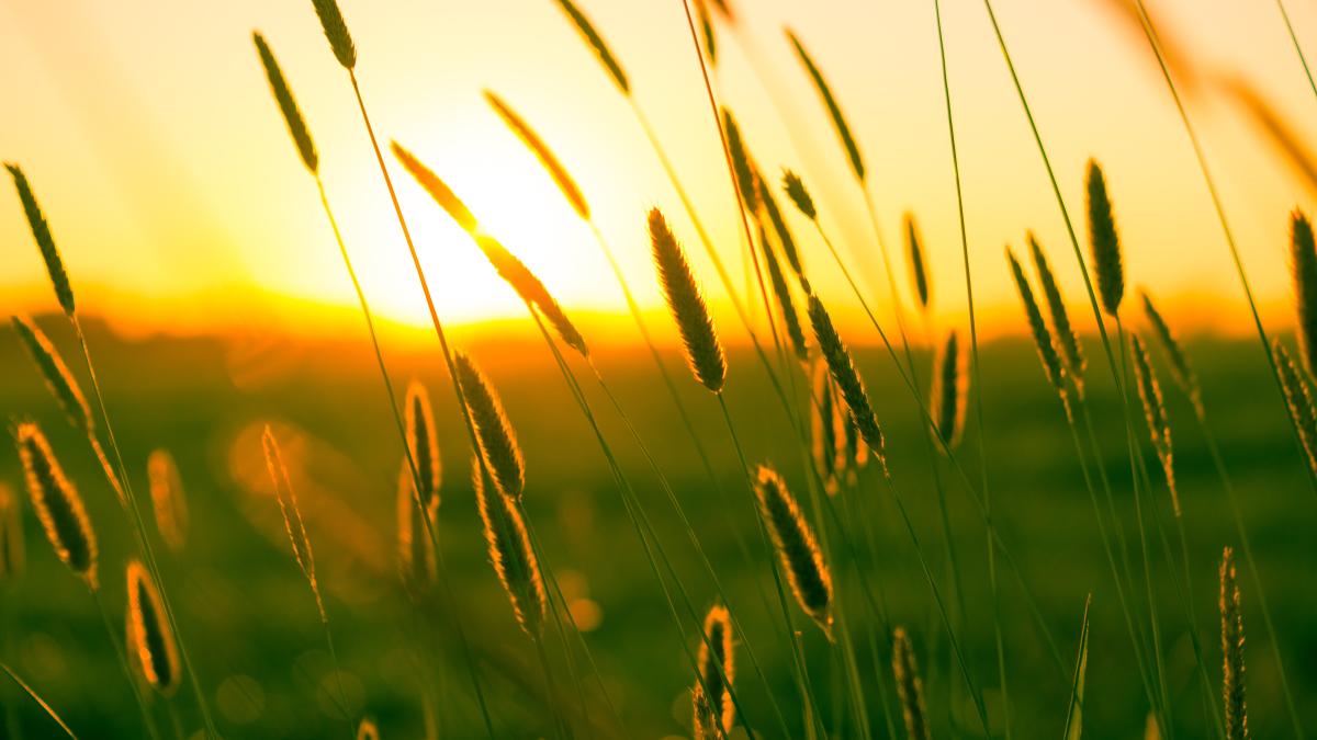 soare-cald-vara_19629600