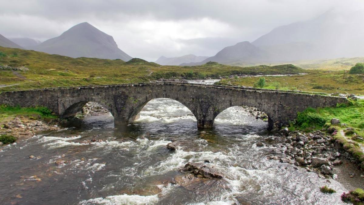 rau_scotia_inec_44558100