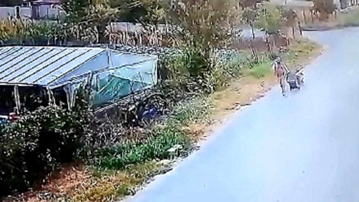 barbat-carut-mort_55032000