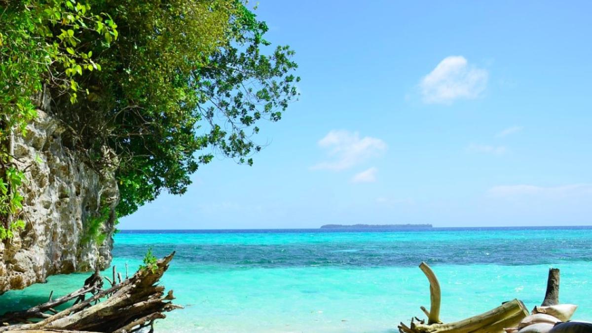 palau_international_55286100