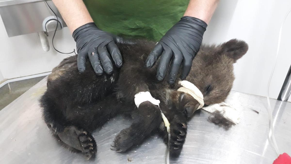 118409828_3642953069048317_2337121322679629058_o_09550500