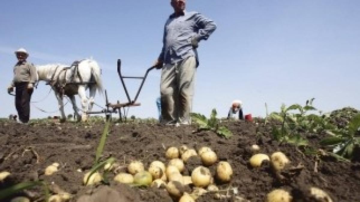 tarani-agricultori-dc