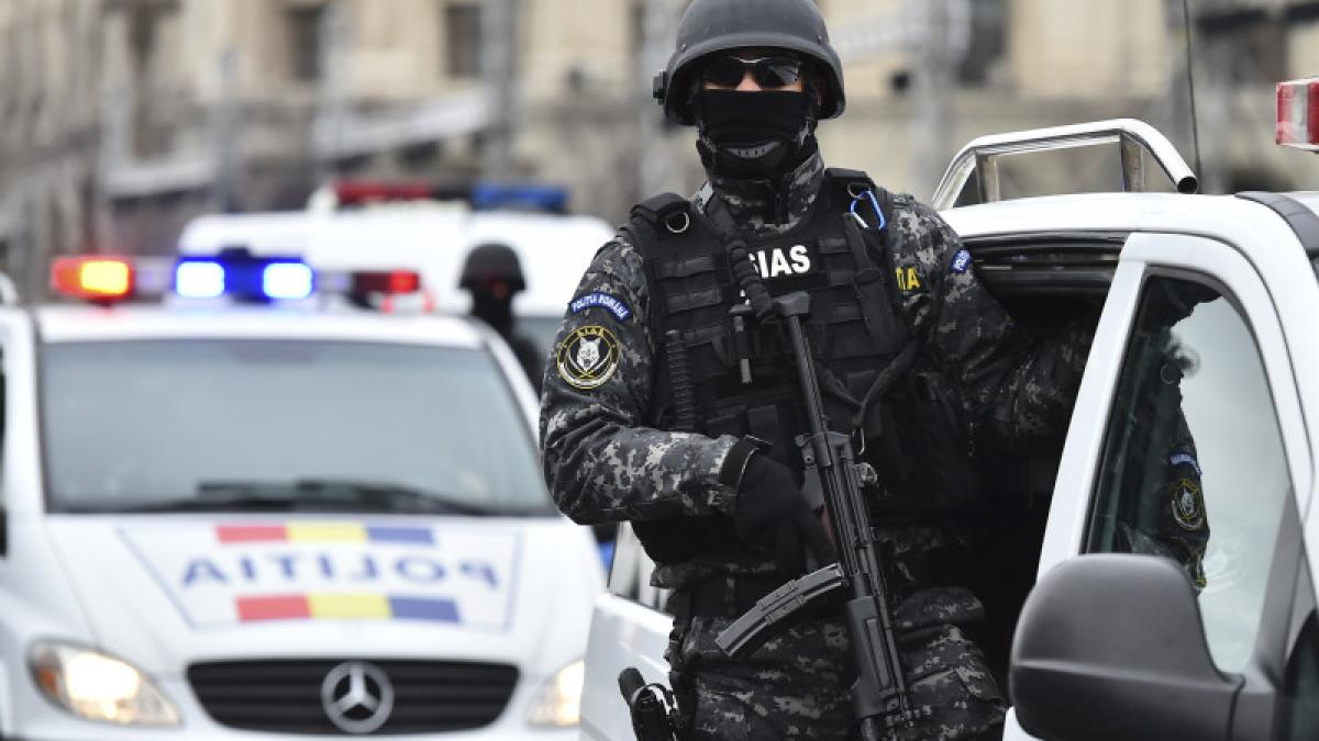 sias_luptator_13731900