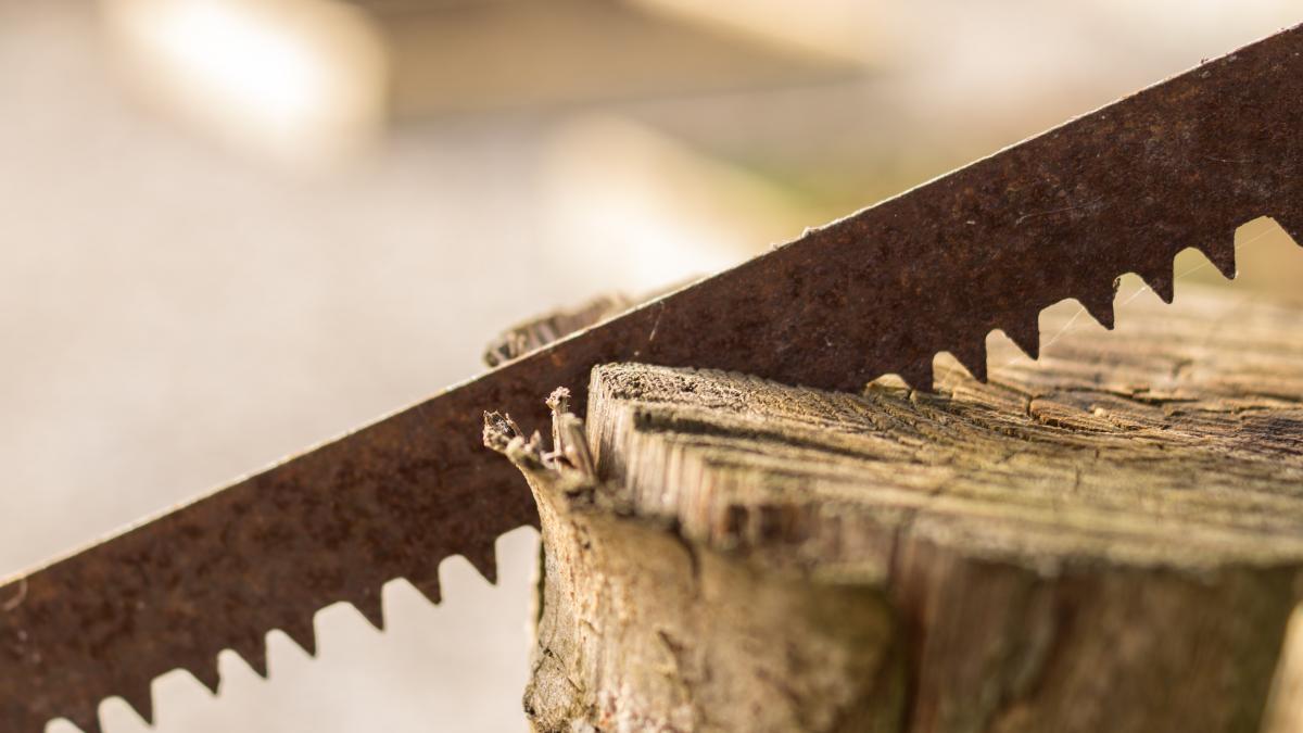 pexels-skitterphoto-9280_46252000