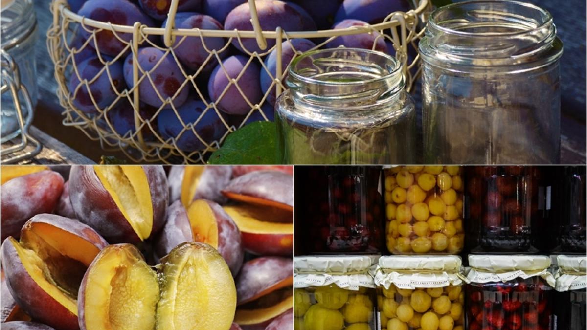 compot-prune_26709800