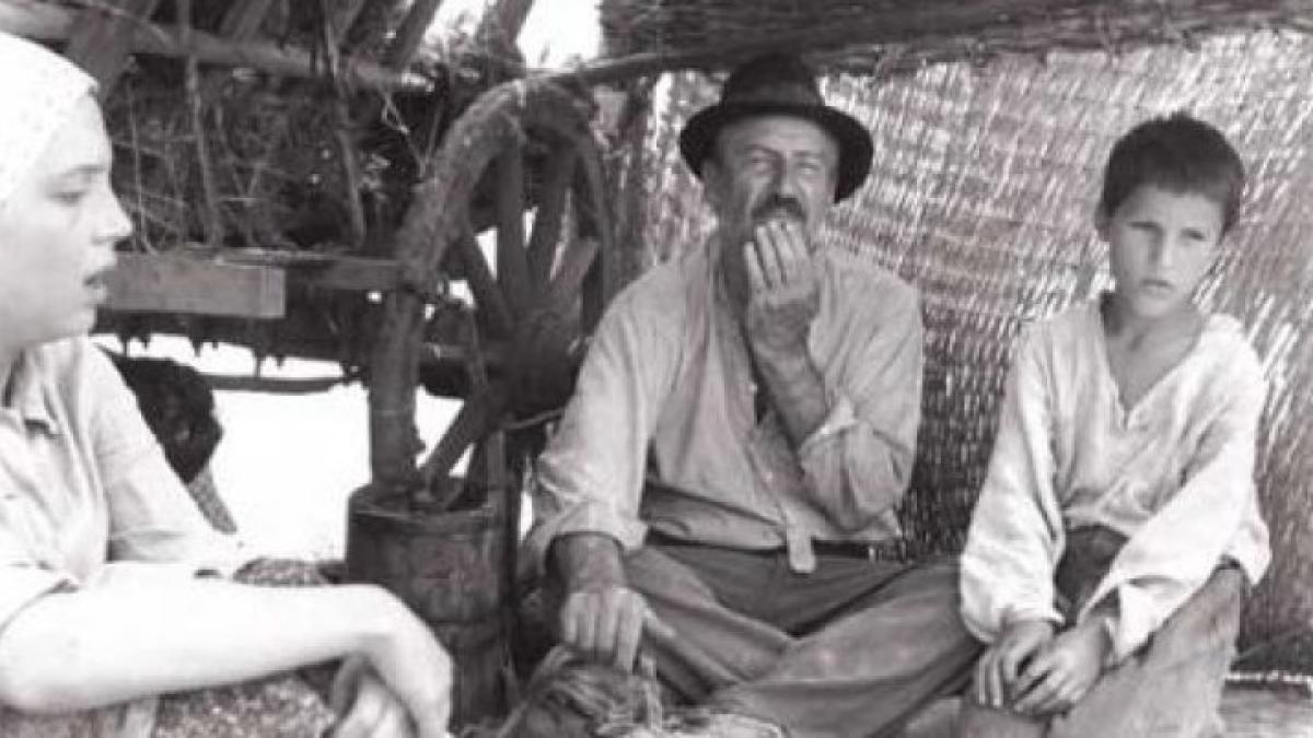 morometii_62024200_82150600