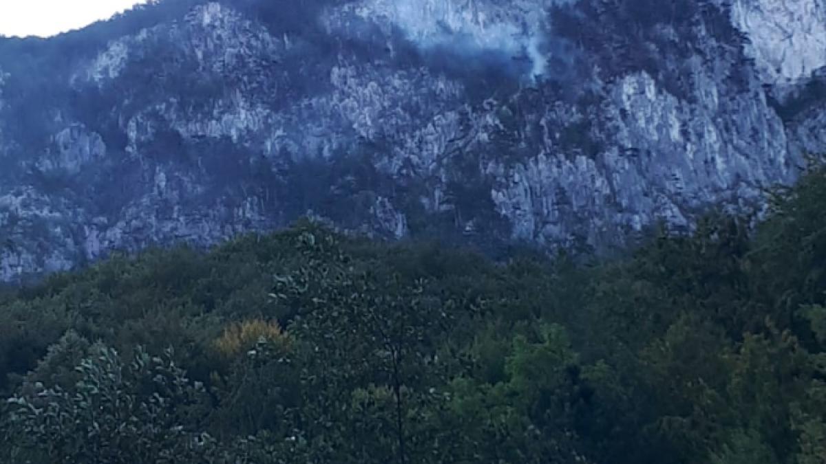 screenshot-2020-09-02-at-12-31-01_40270700