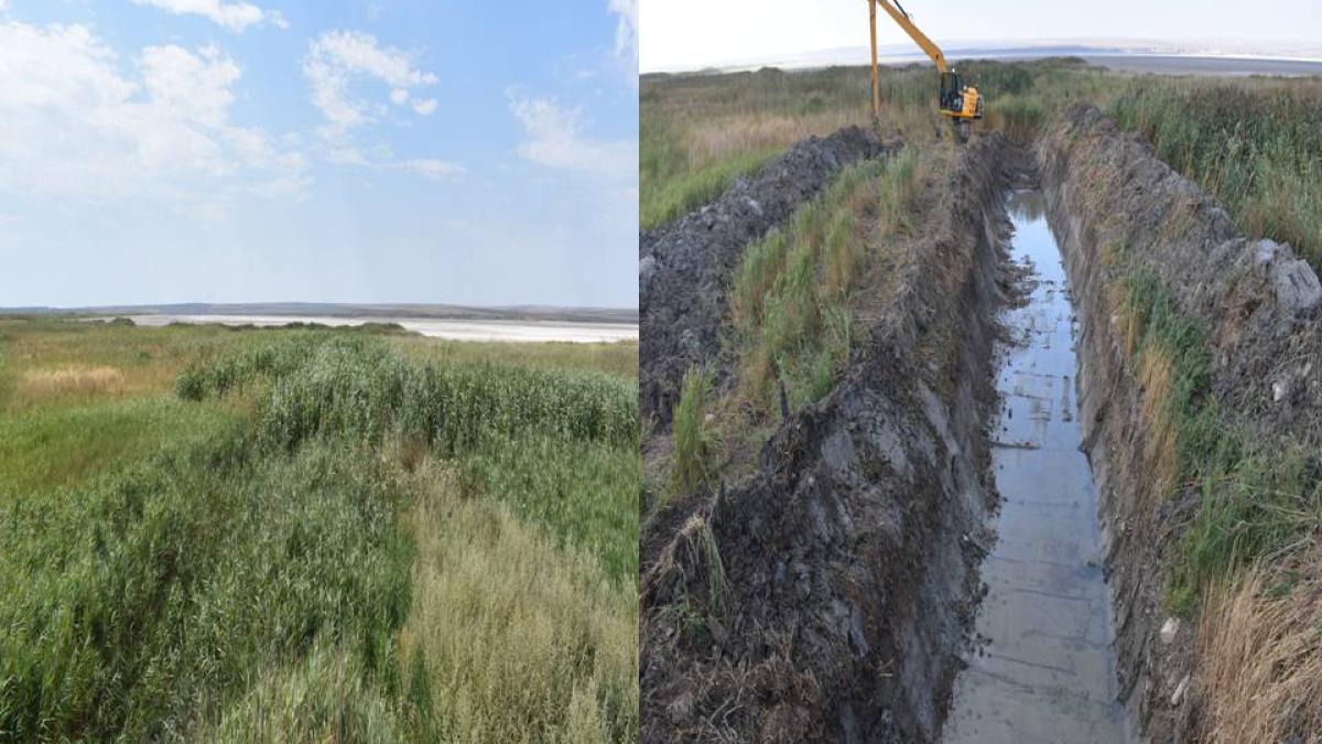 lacul-nuntasi_01_82202800