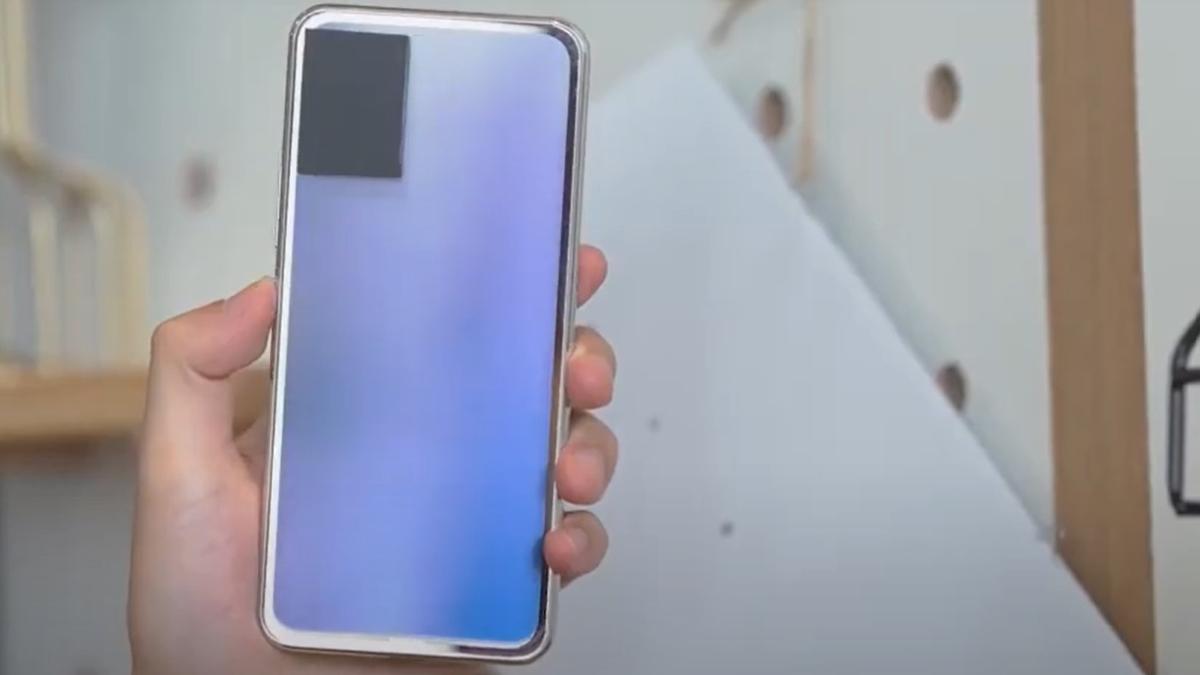 vivo_cameleon_37867300