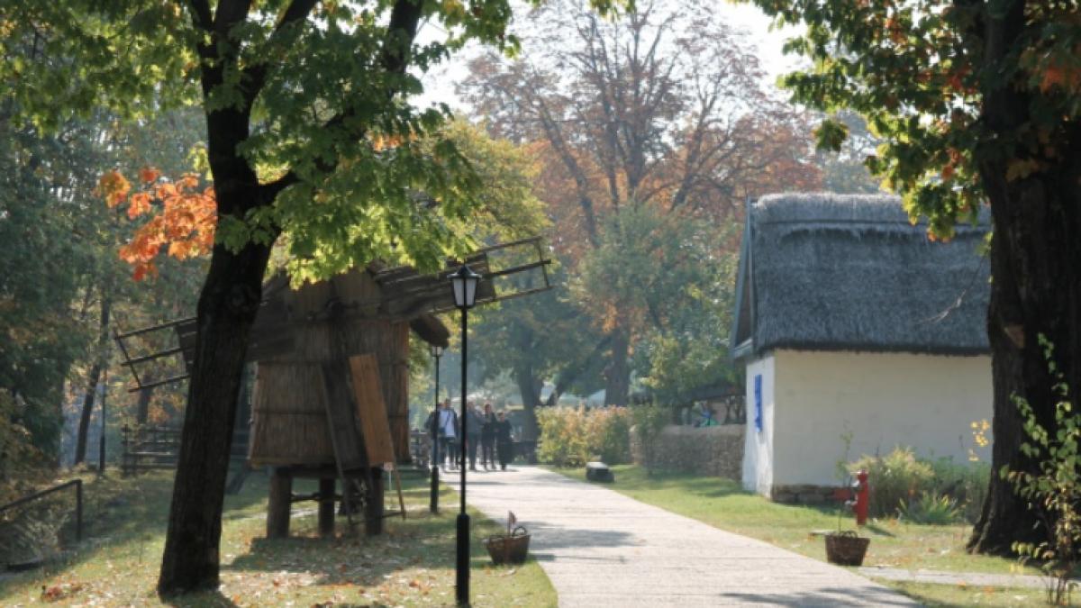 muzeul-satului_08734000