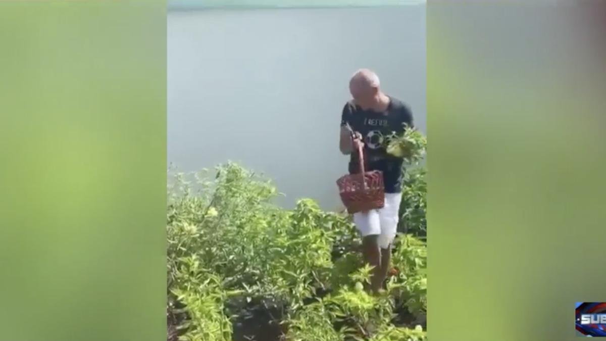 rares-bogdan_07891900