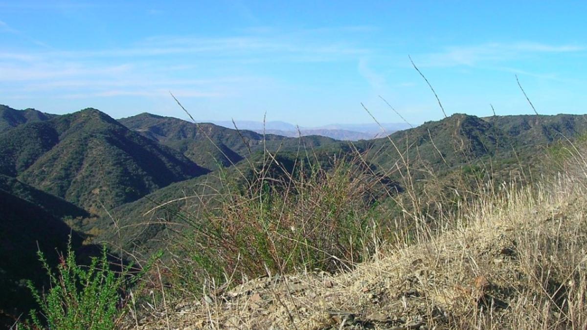 santa_monica_los_angeles_international_31236300