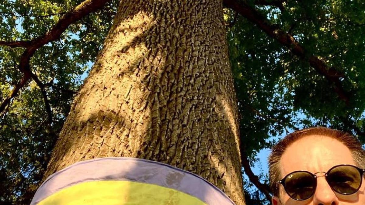 dan-negru-avram-iancu_70251200