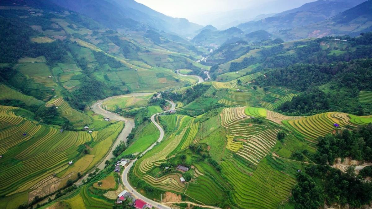 agricultura_asia_international_27263400