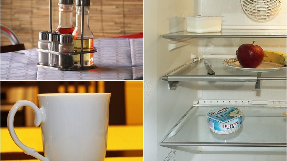 otet-in-frigideri_29679200