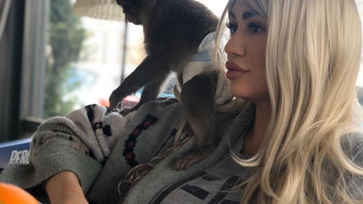 margherita-maimuta_50703100