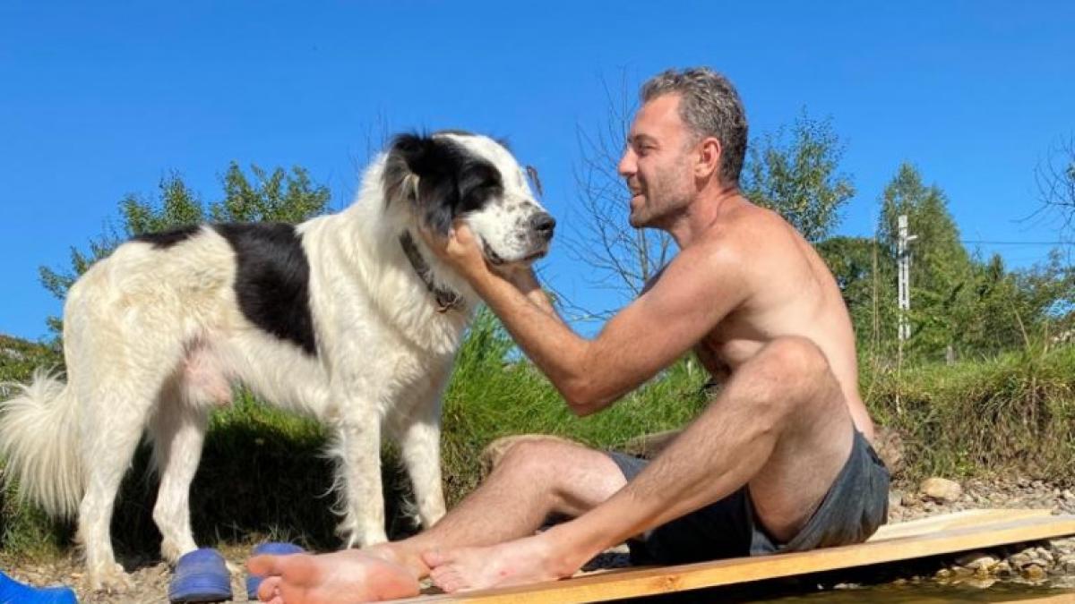 caine-impuscat-foto-digi24_84008400