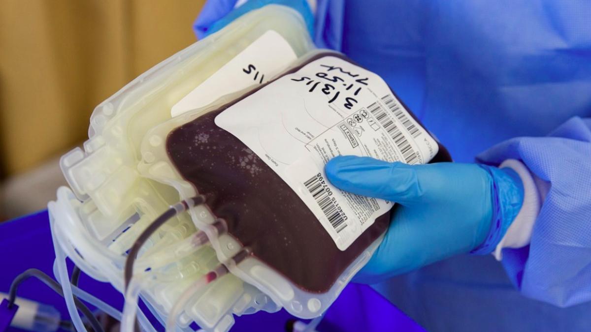 plasma_sange_transfuzii_44504300