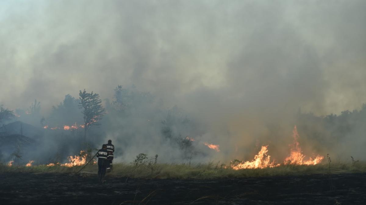 incendiu-vegetatie-2_56526800