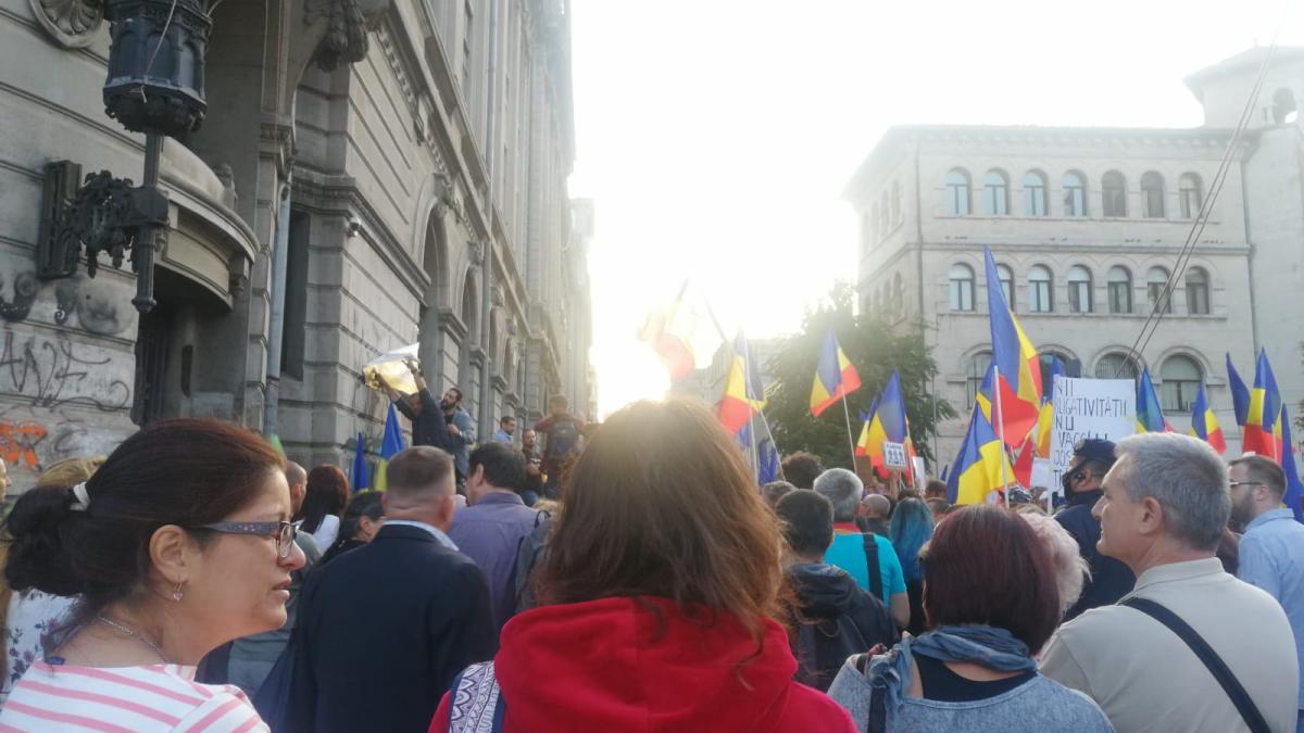 protest-botnita_09768800