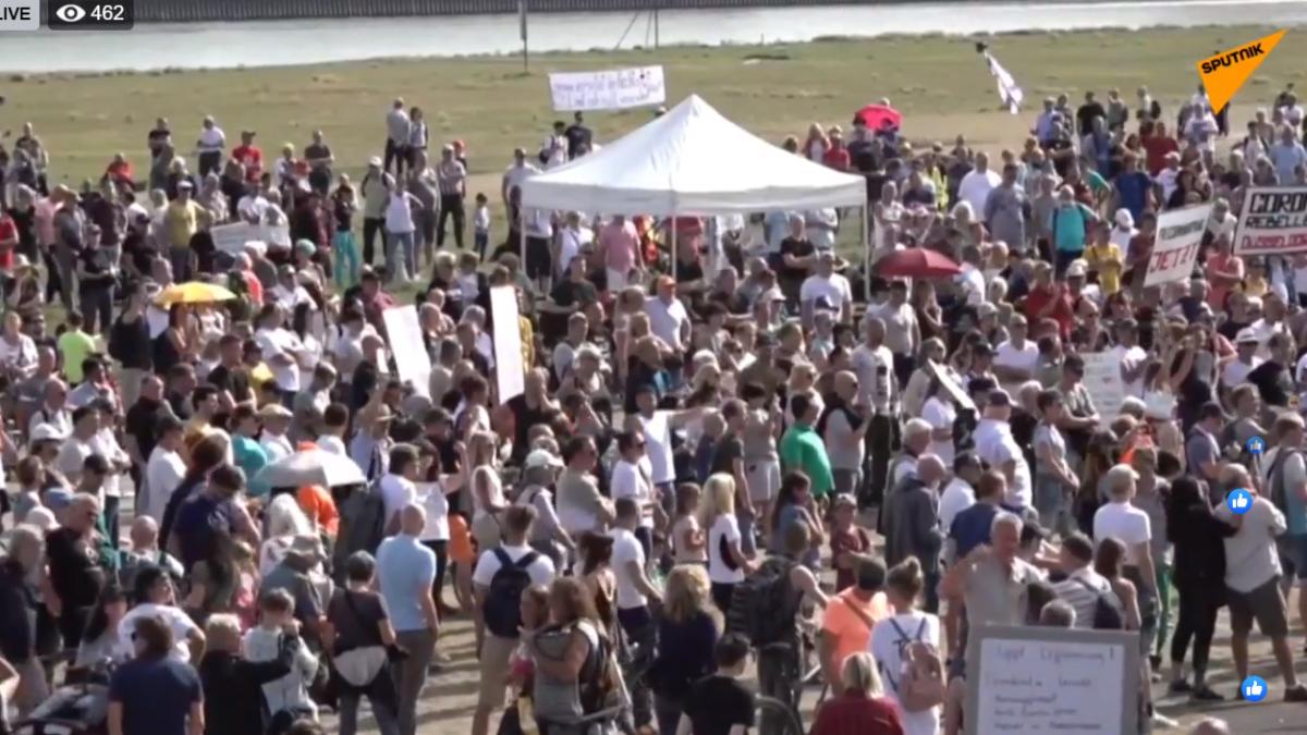 protest_germania_31463800